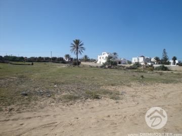 V 060 -                            Vente
                           Terrain Djerba